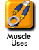 Muscle uses icon